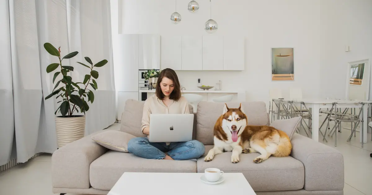 HEPA air purifier placed near a cat to capture airborne dander