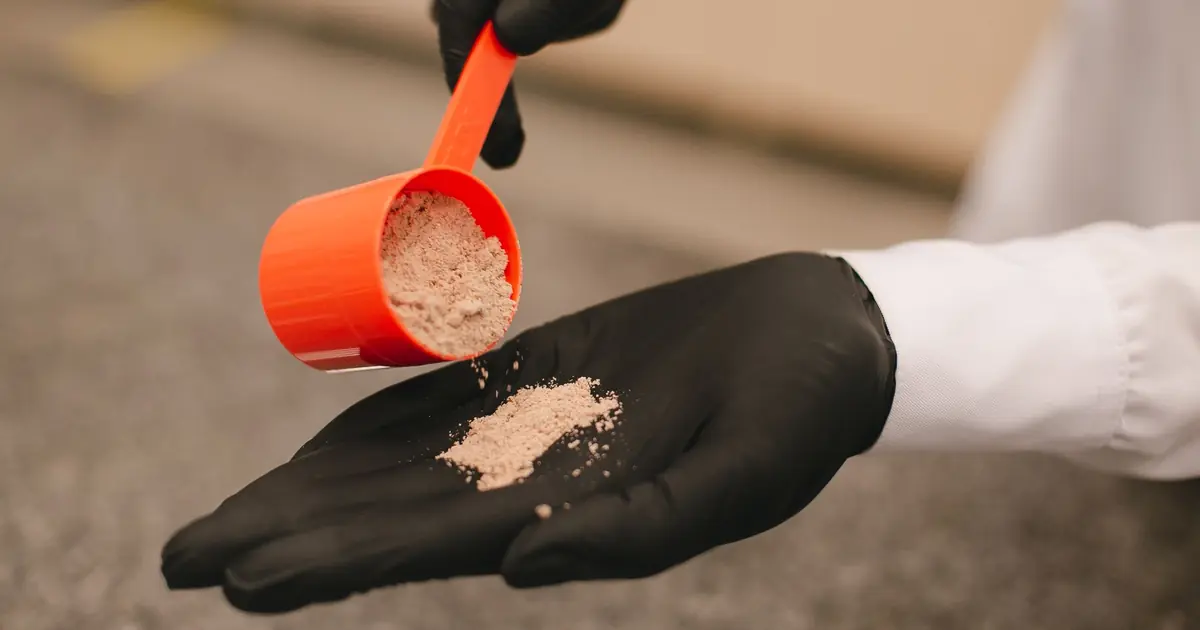 Gloved hands scooping a cat litter box, a safe practice during pregnancy
