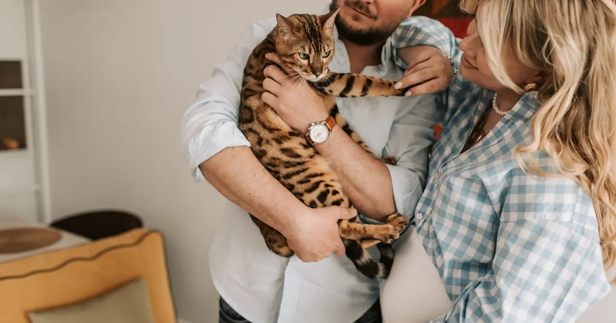 Pregnant woman gently holding her cat, safe together during pregnancy