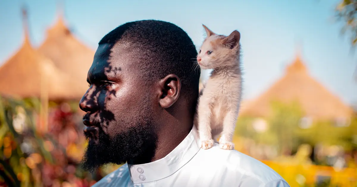 a cat rubbing against a bearded man