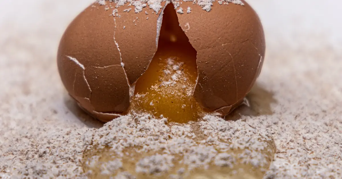 Safe homemade cat treat ingredients including cooked chicken, egg, and pumpkin
