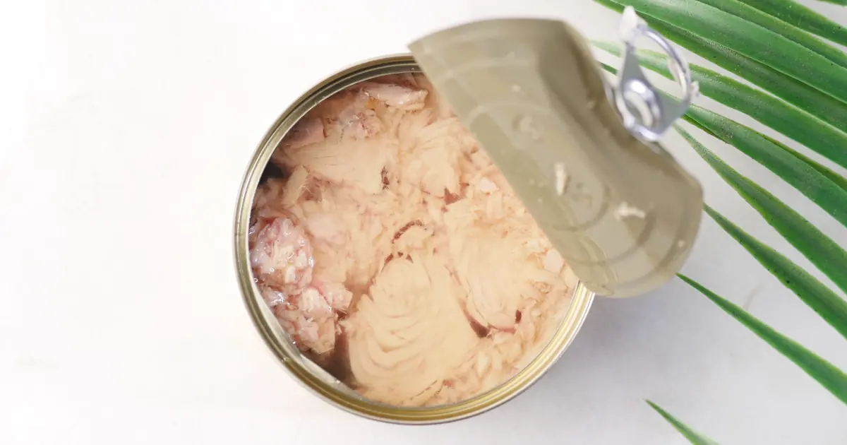 limited ingredient cat food with visible fish fillet