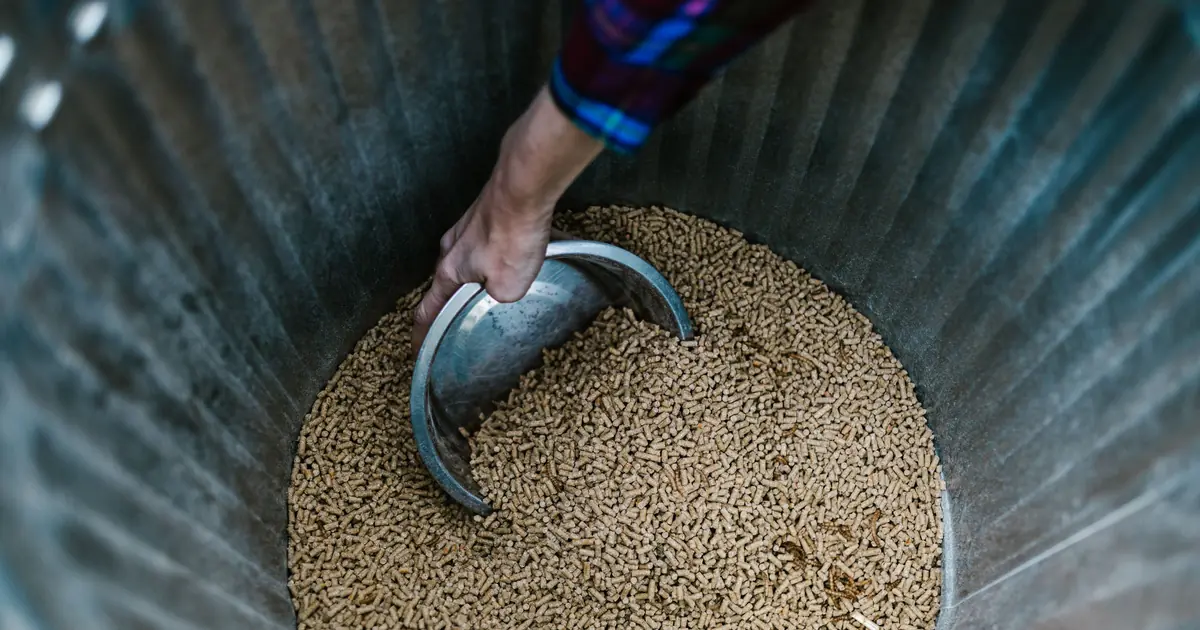 scooping a litter box with gloves