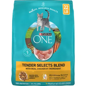 Purina ONE Tender Selects Blend with Real Chicken Natural Dry Cat Food, 22-lb bag