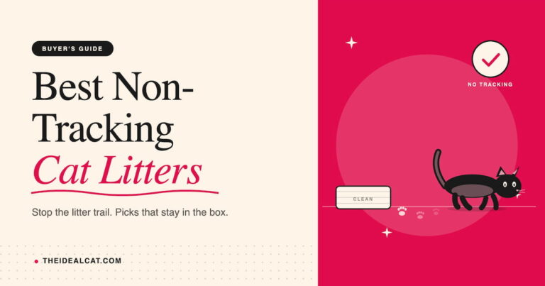 Best Dust Free Cat Litter