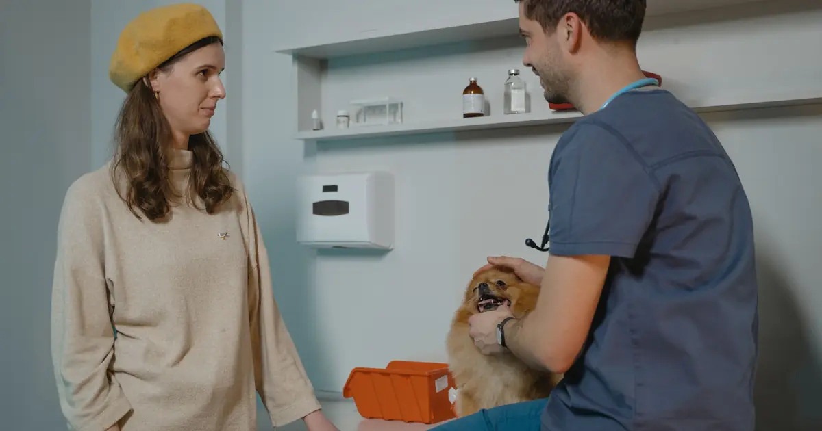 can cats get kennel cough