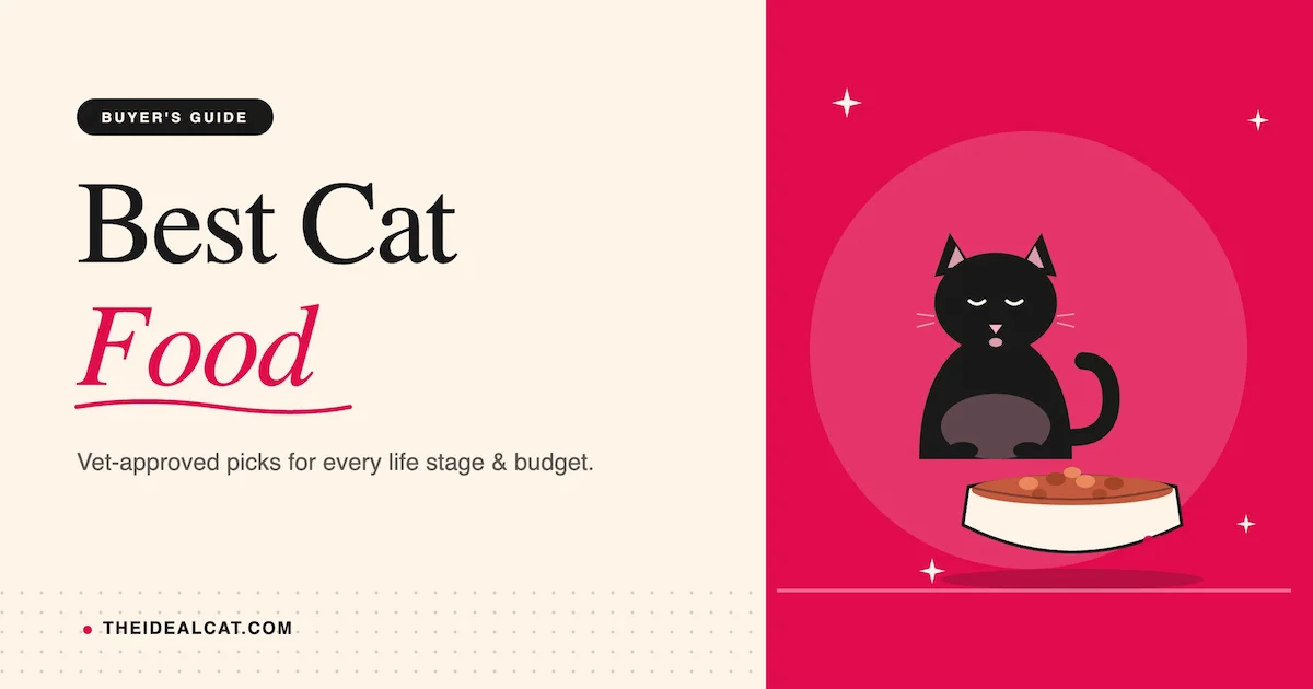 best cat food