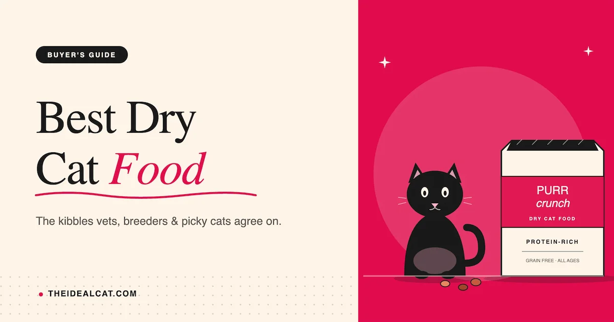best dry cat food