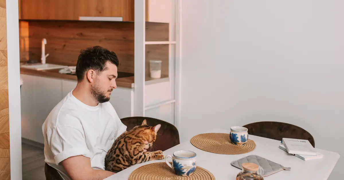 cat near a bowl of cereal