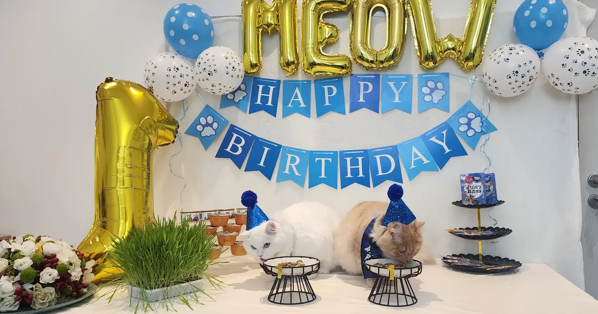 are cats scared of balloons