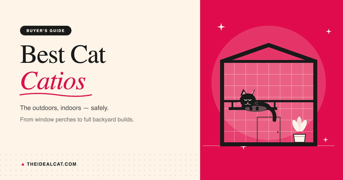 Best Cat Catio