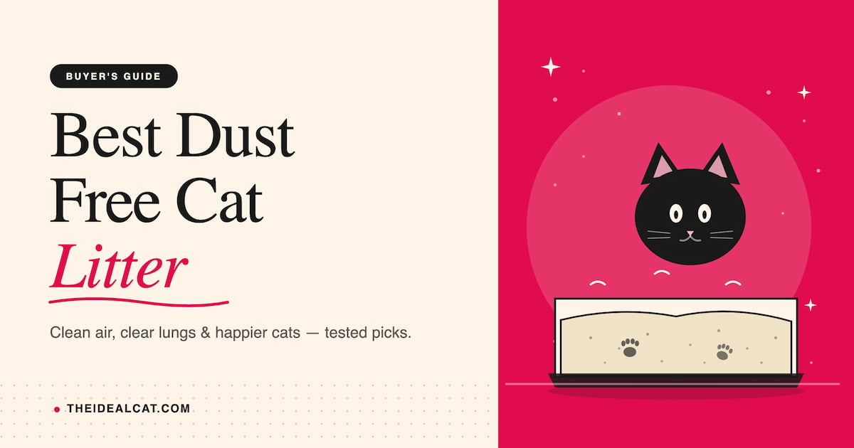 best non tracking cat litter