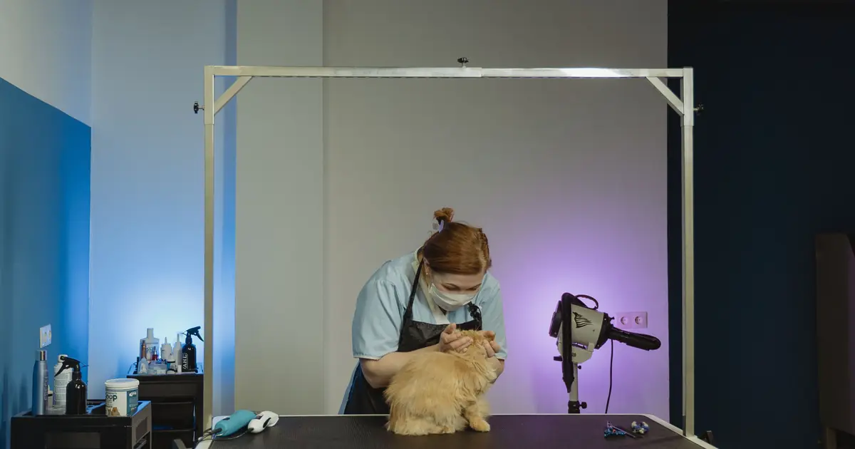 can you give cats milk of magnesia