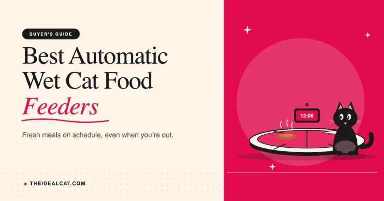 best automatic wet cat food feeder
