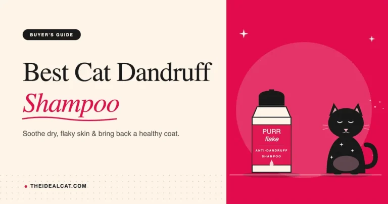best cat dandruff shampoo