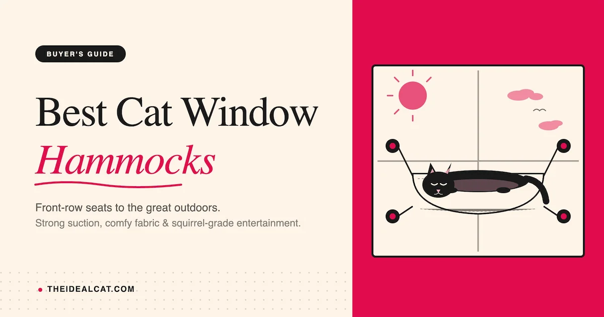 best cat window hammocks
