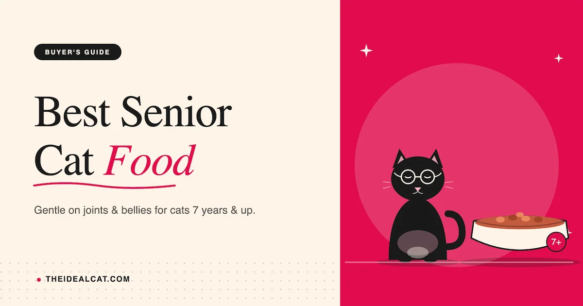best senior cat food