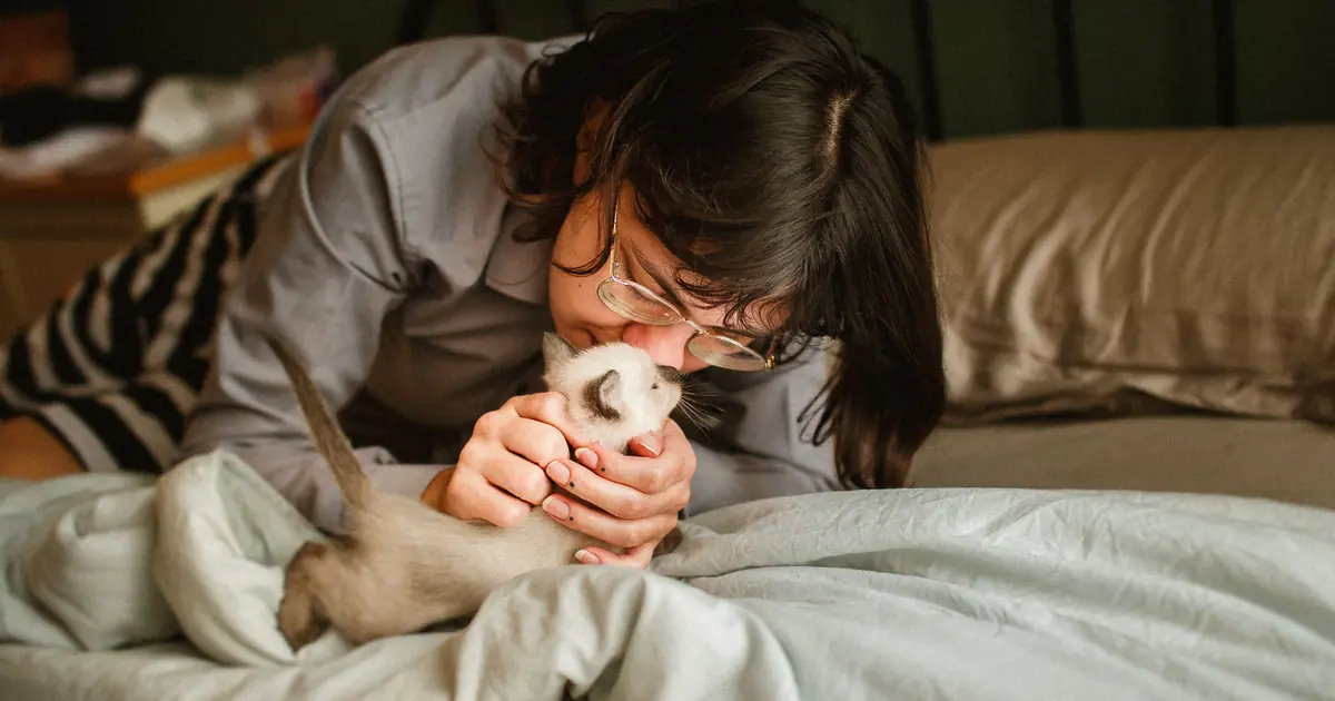 person kissing a cat on the forehead