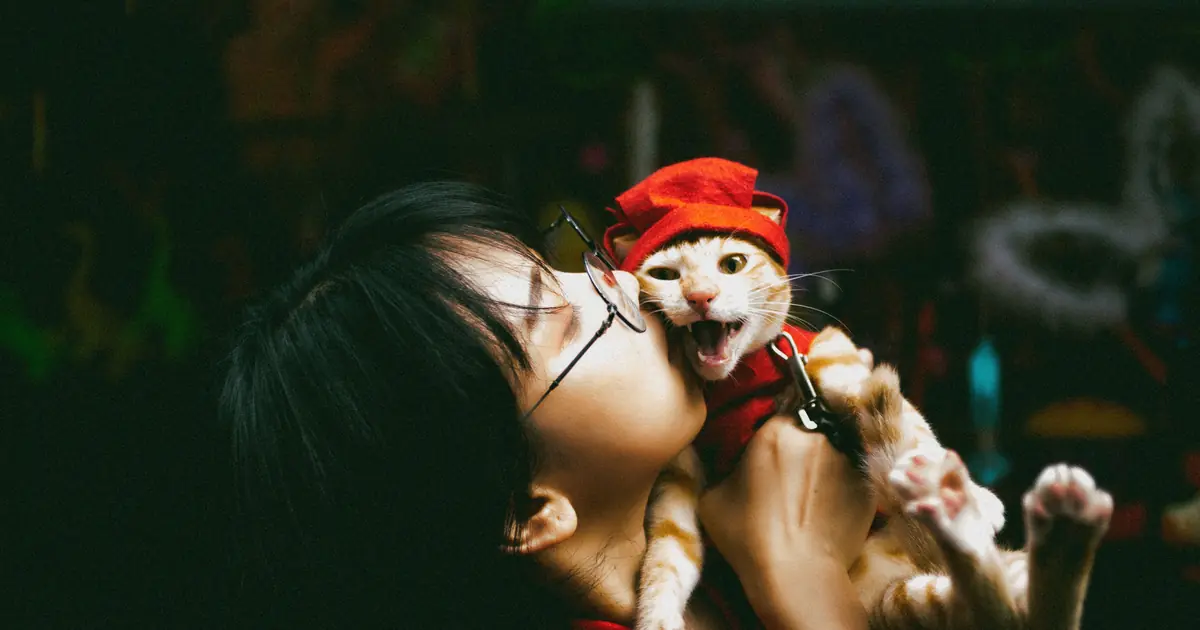 do cats understand kisses