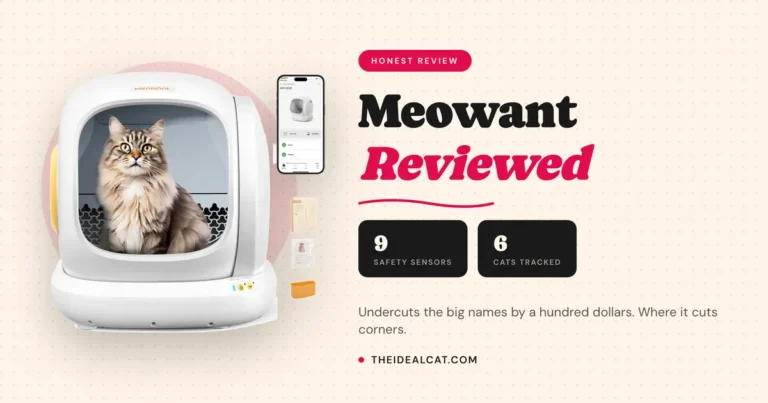 meowant litter box review