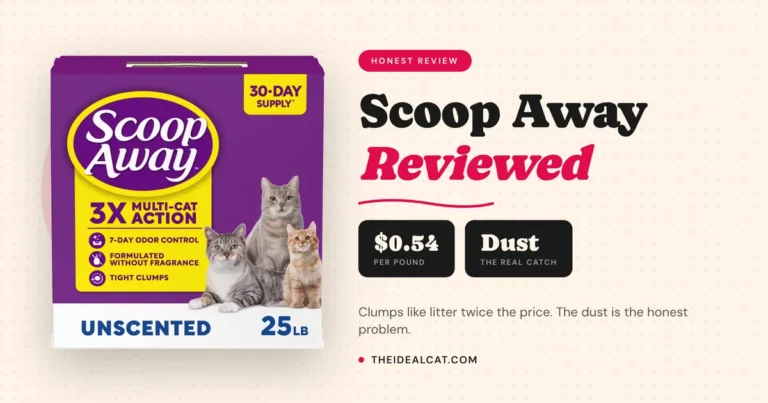 scoop away cat litter review