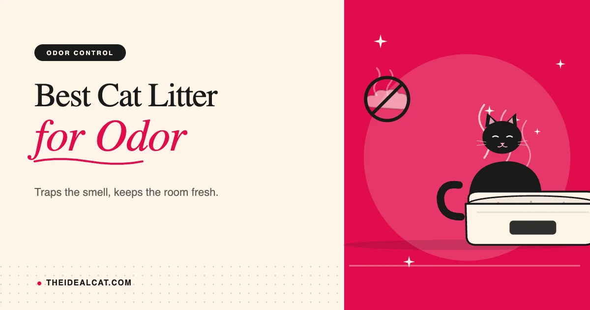 best cat litter for odor control