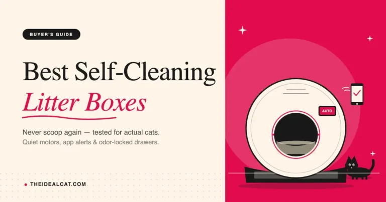 Best Self-Cleaning Cat Litter Box