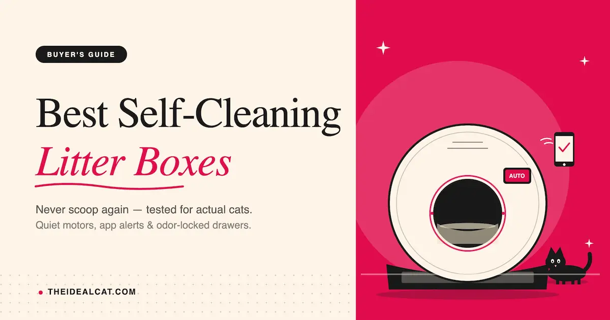 Best Self-Cleaning Cat Litter Box