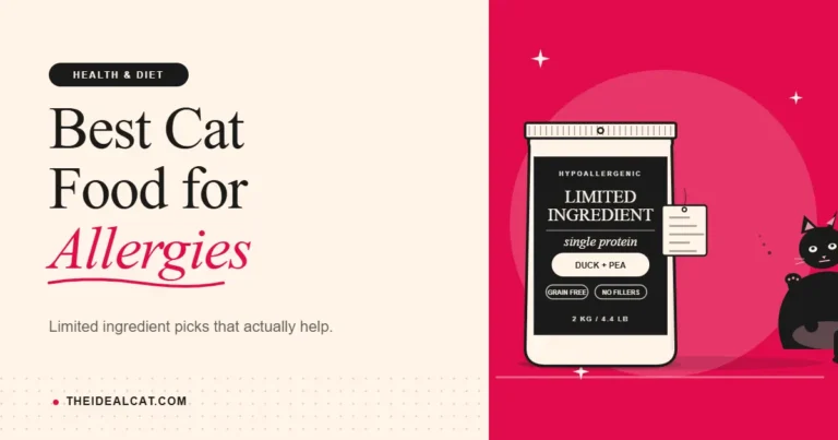 cat food for allergies