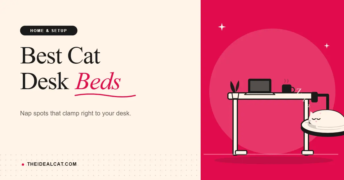 cat desk bed