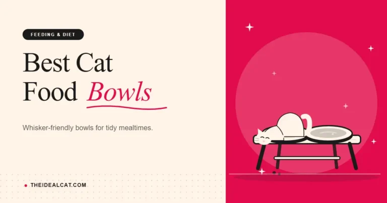 cat food bowls