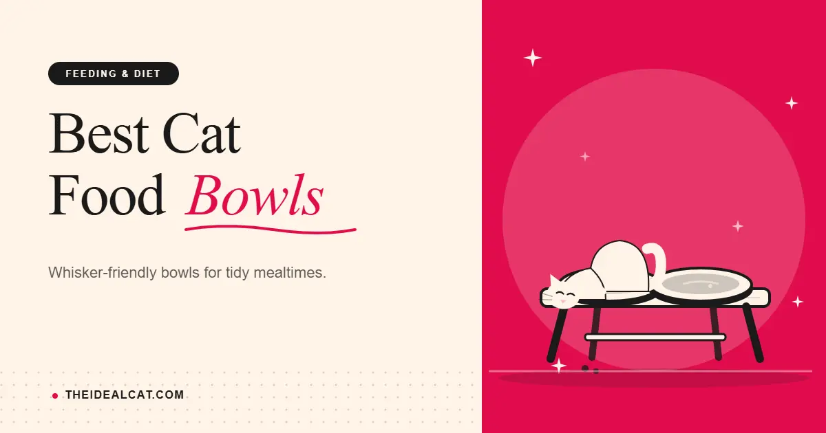 cat food bowls