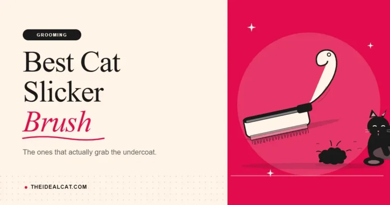 cat slicker brush