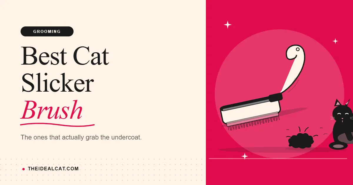 cat slicker brush