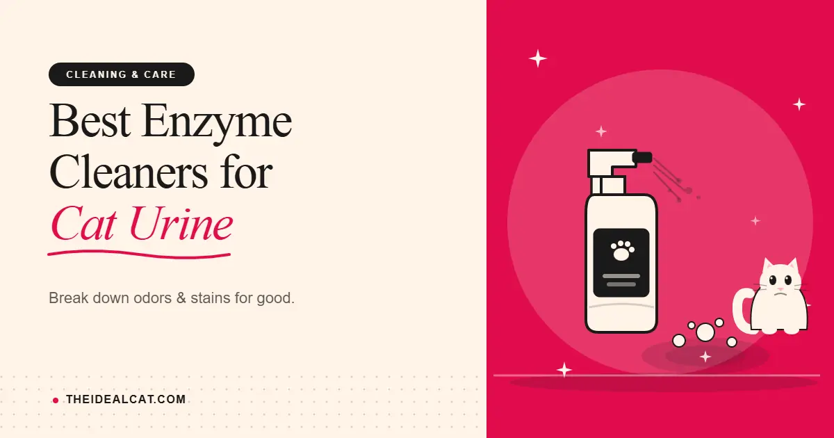 enzymatic cleaner for cat urine