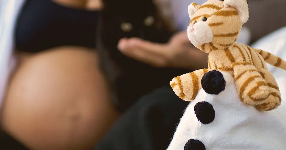 How Many Times Can a Cat Get Pregnant in a Year? (2-3) 1