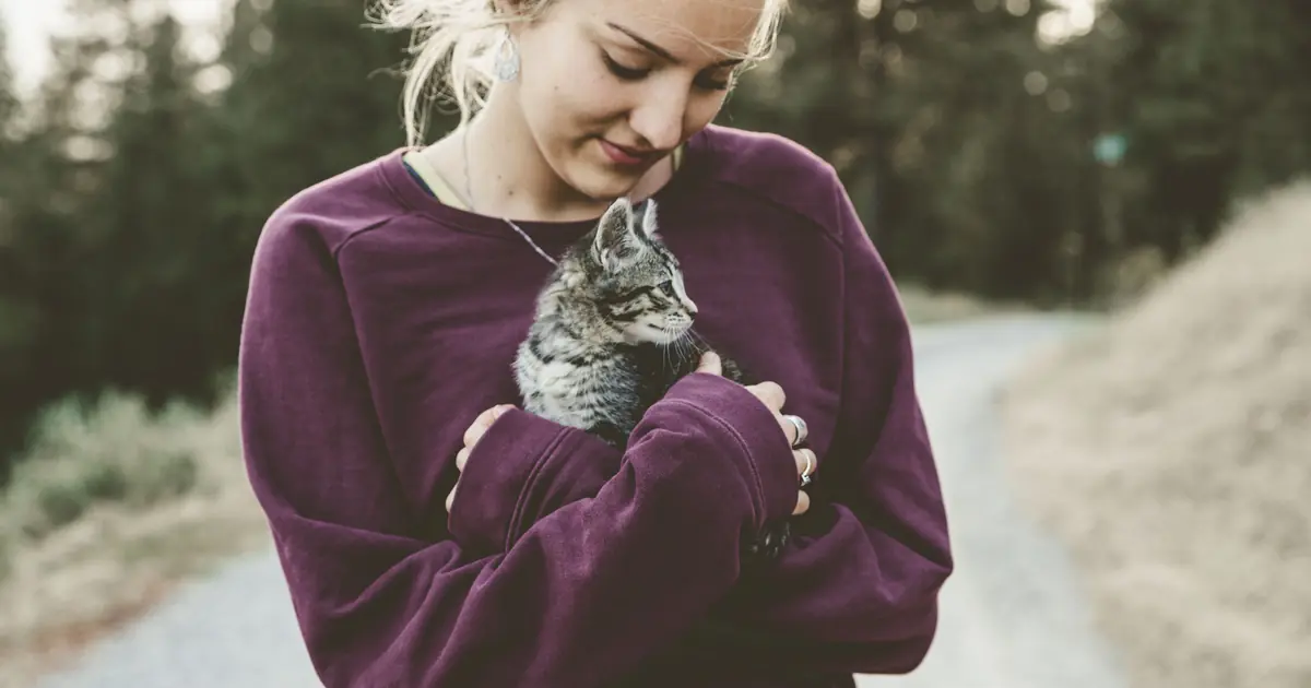 How to Get Rid of Cat Allergies Naturally: 9 Real Fixes 1