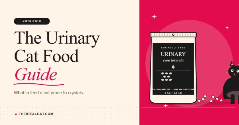 urinary cat food