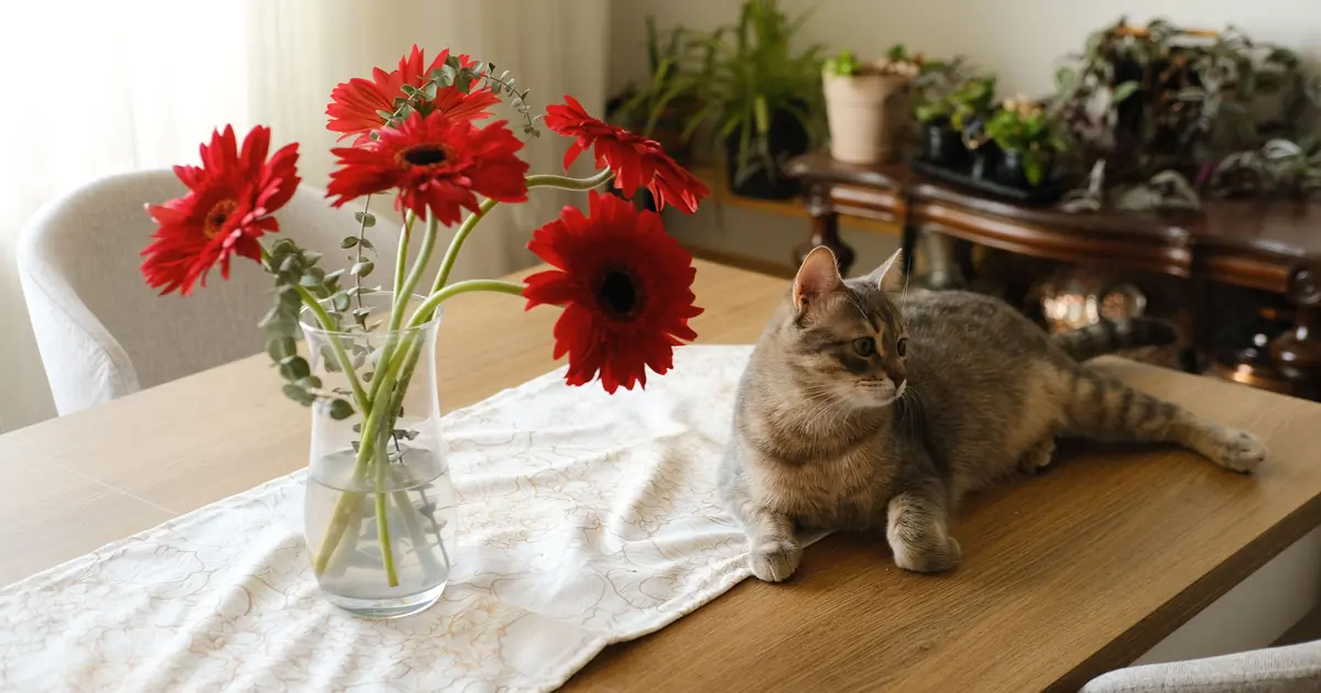 What Flowers Are Cat Safe? 11 Safe Picks (Vet Info) 1