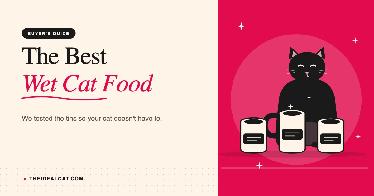 best wet cat food