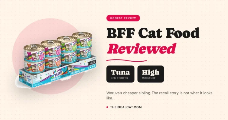 bff cat food review