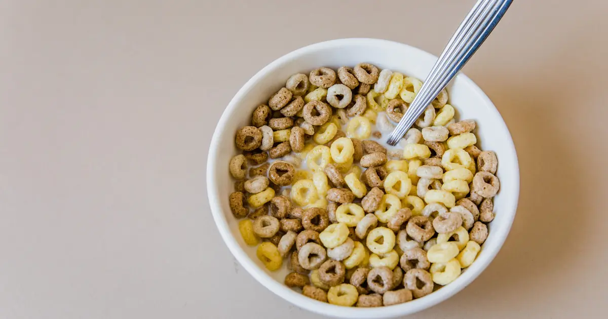 cats are carnivores and get nothing from cereal