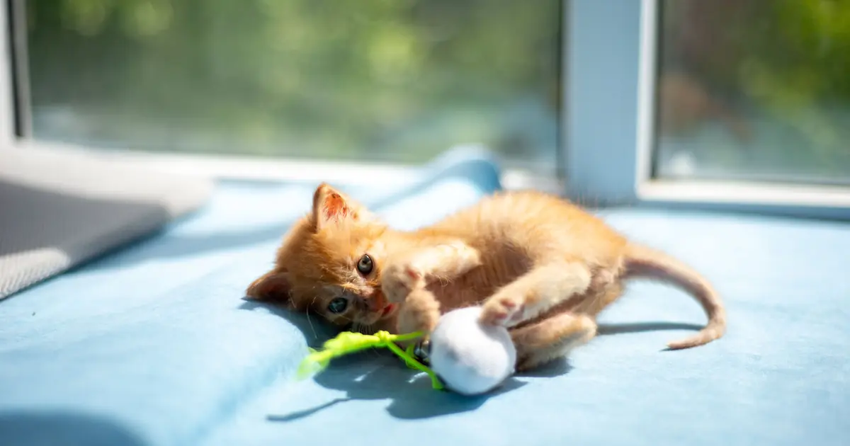 crinkly sounds mimic prey like rustling leaves or paper