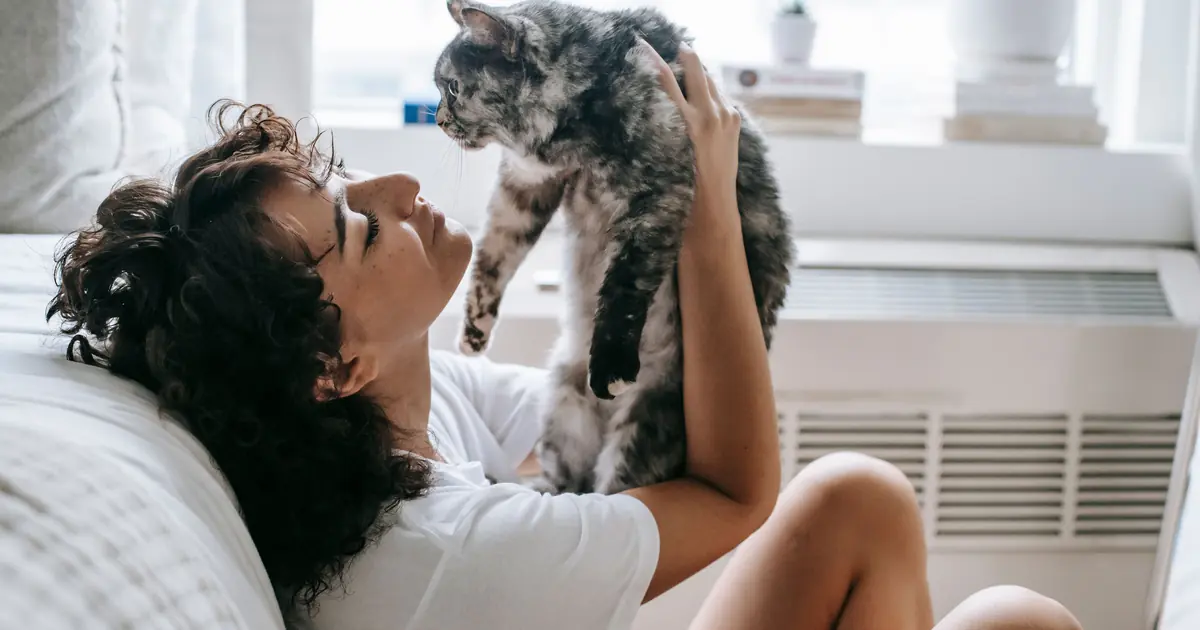 cats are crepuscular, most active and social at dawn