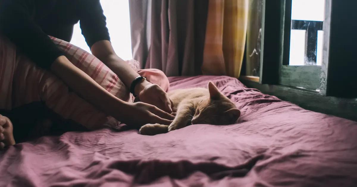 a cat purring loudly while snuggled close