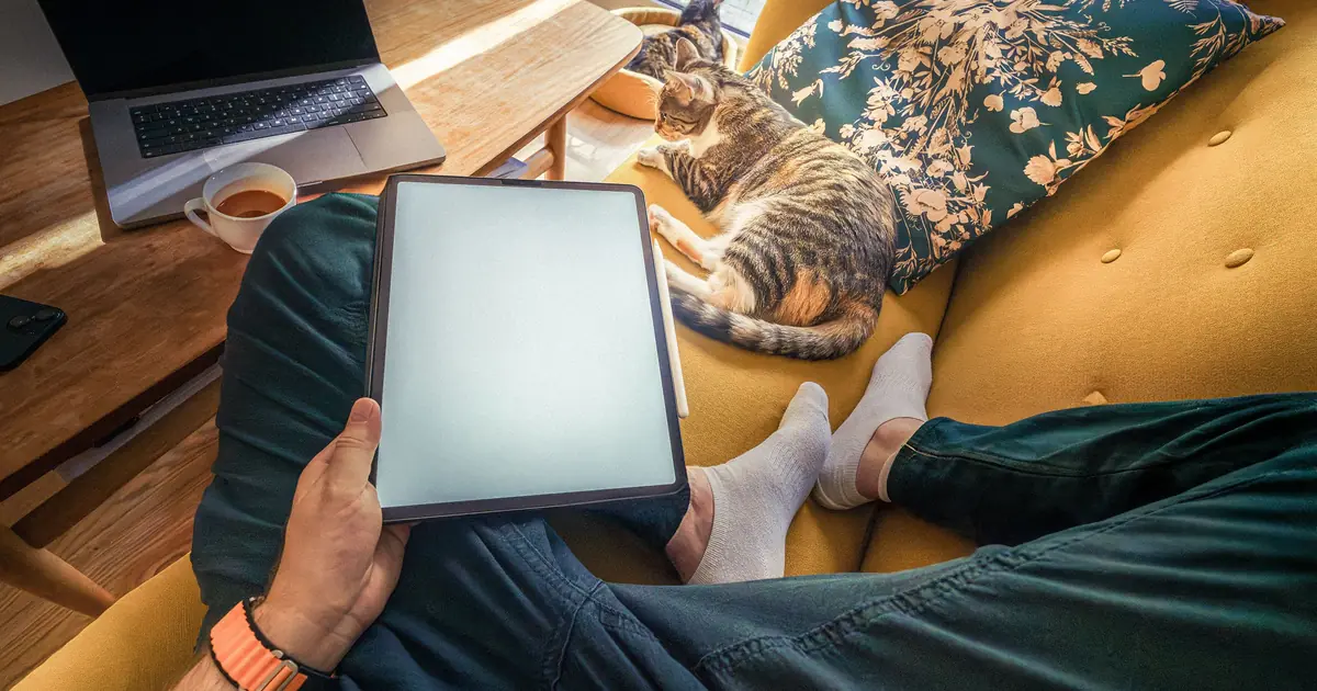 cats can track movement on screens like tablets and TVs