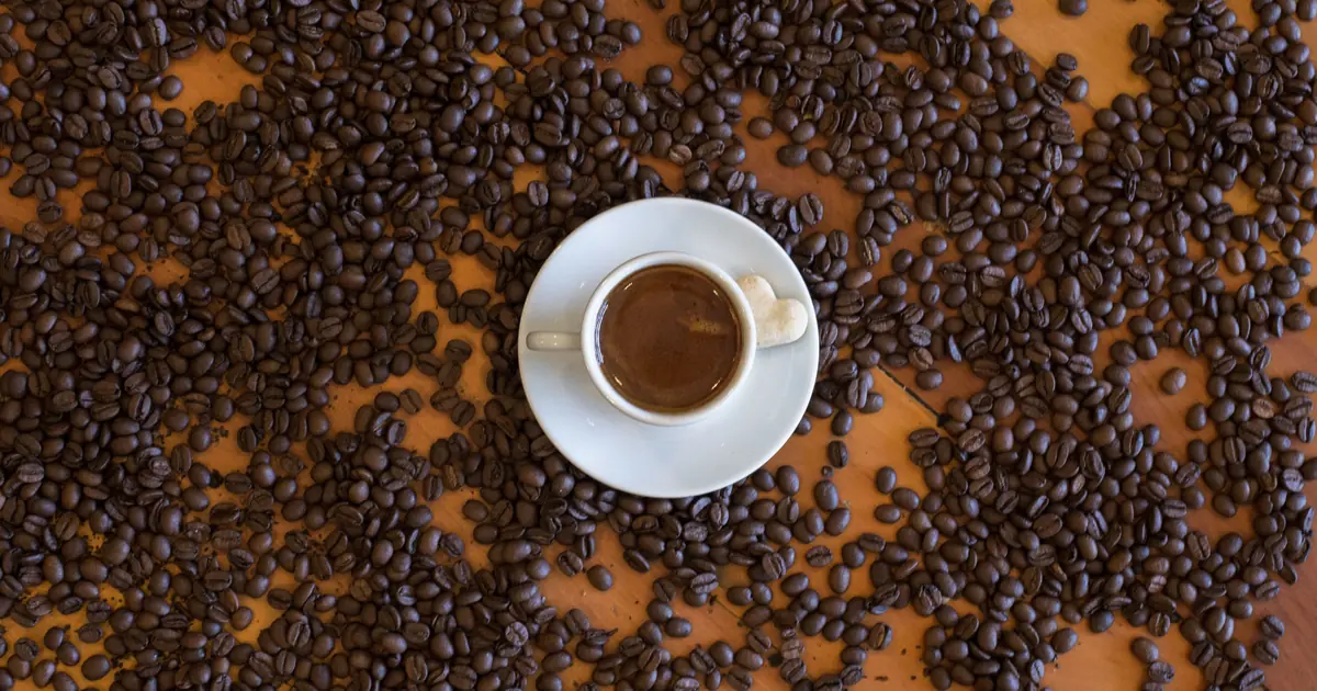 caffeine in coffee is dangerous even in small amounts for cats