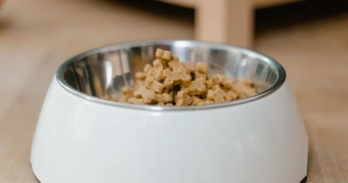Friskies dry food is grain-heavy and budget-priced