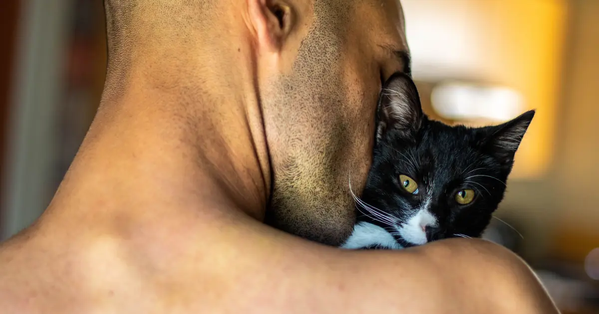 an emotional support cat comforting its owner