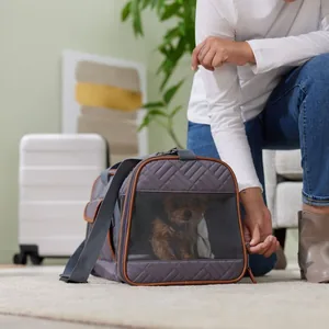 Frisco Premium Airline Compliant Dog & Cat Quilted Carrier Bag, Gray, Large
